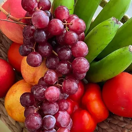 Casa Helen 2 Tenerife Sur アパート サンミゲル・デ・アボナ