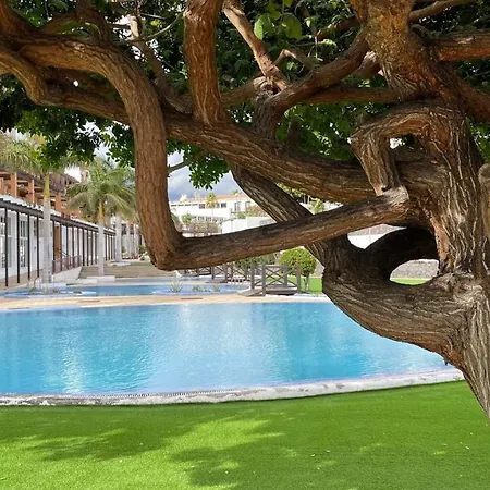 Casa Helen 2 Tenerife Sur アパート サンミゲル・デ・アボナ